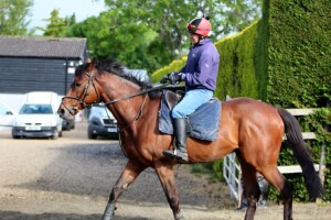 Eljaddaaf - each-way chance at Kempton