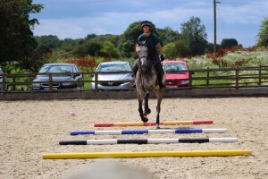 Bruce over poles