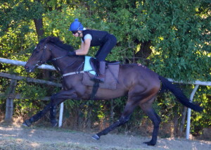 Gregorian Girl - each-way claims at Kempton