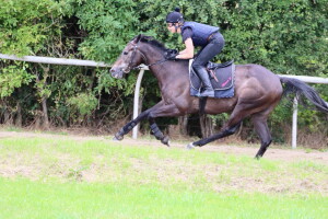 Spring Romance - steps up to a mile at Windsor