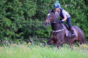 Alsukar - runs at Yarmouth (3pm)