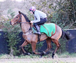 Archdeacon - runs at Chelmsford