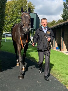 Badenscoth being led up by Steve Garland at Goodwood