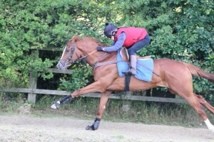 Dover LIght - runs at Lingfield today