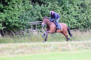 Eljaddaaf - runs at Chelsmford