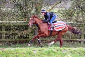 Flaming Spear - runs at Kempton