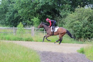 Lancelot Du Lac - runs at Kempton after long absence