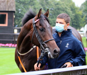 Dancinginthewoods - gets his ground at Newmarket