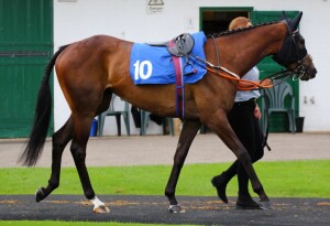 Bruyere in the pre-parade