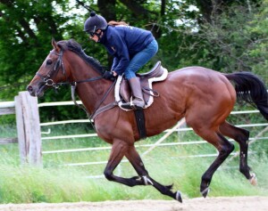 Daddy's Daughter - runs at Kempton