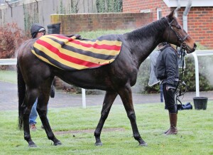 Lancelot Du Lac - runs at Chelmsford