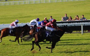 Spring Romance winning the Solario sponsored race at Windsor