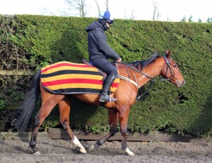 Sir Prize - has first run on turf