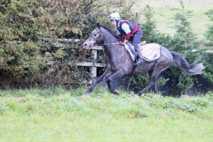 Spring Romance - 25/1 at Wolverhampton