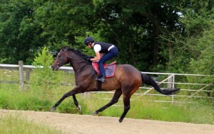Tangramm - big drifter at Wolverhampton