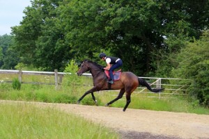 Tangramm - runs at Wolverhampton