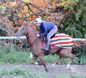 Tropics - runs at Kempton