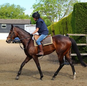 Bruyere - runs at Lingfield