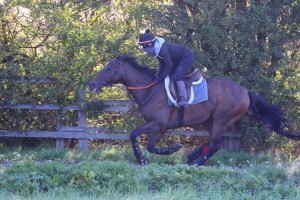 Lancelot Du Lac - big price at Kempton