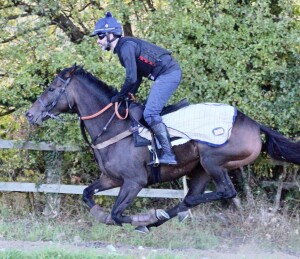 Laurentia - a four times winner