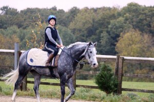 Nicky Baby - 80/1 shot at Southwell