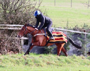 Sir Prize - runs at Kempton tonight