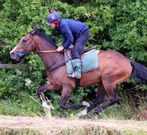 Fighting Temeraire - runs at Wolverhampton