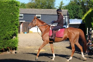 Kerrera - runs at Chelmsford tonight