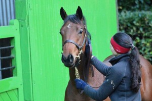 Twilight Son x Winifred Jo