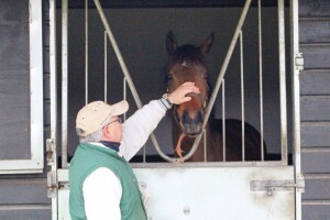 Dean ivory getting to know "Twinkle"