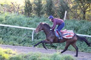 Mirakuhl - runs at Kempton this afternoon
