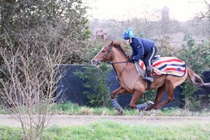 Nezar - runs in the race he won last year at Wolves