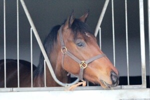 "Twinkle" looking out from her new home