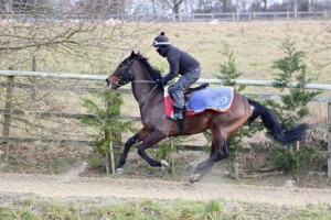 "Woody" having first canter of the year