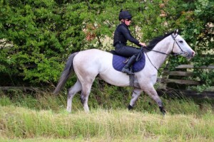 Dors Toyboy - makes fibresand debut