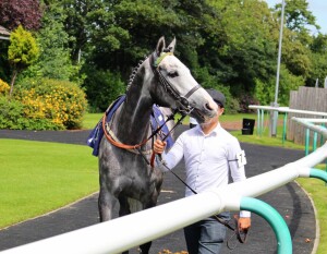 Lothario - runs at Lingfield 