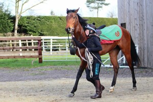Sophie leading the filly back after exercise