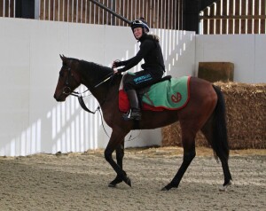 "Twinkle" being ridden by Sophie Ralston today
