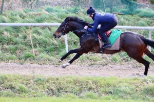 Broxi - has debut for stable at Kempton