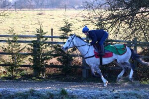 Dors Toyboy - each-way claims at Chelmsford