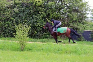 Laurentia - runs at Wolverhampton