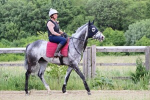 Lothario - won same race at Kempton two years ago