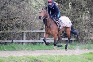 Twilight Son 2yo filly