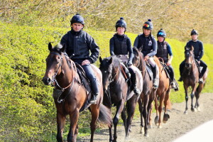 Amy Murphy 2yos 3rd Lot 16 April 2021