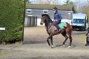 Broxi - runs at Newbury  
