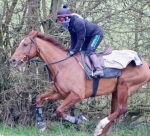 Flaming Spear - runs at Kempton