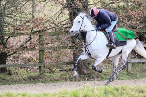 Librisa Breeze - runs at Chelmsford