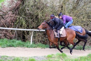 Twilight Son filly (nearside)