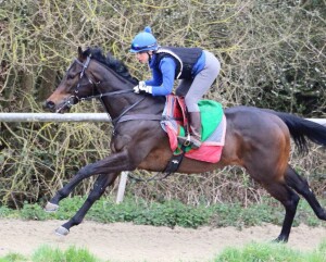 Dancinginthewoods - runs at Leicester