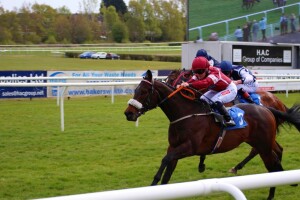 Dancinginthewoods heading for victory